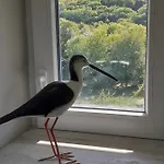 La Grange Aux Oiseaux *