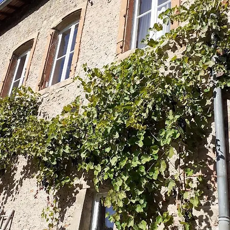 Homestay La Grange Aux Oiseaux Arnaville