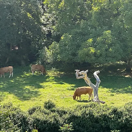 La Grange Aux Oiseaux Alloggio in famiglia *