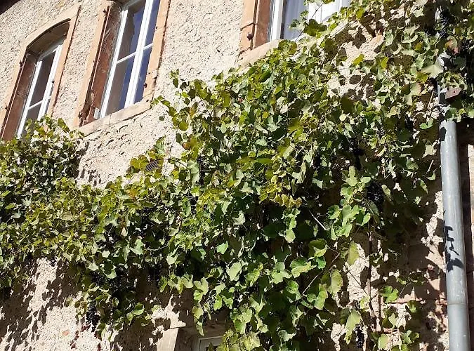 Accommodatie bij particulieren La Grange Aux Oiseaux Arnaville