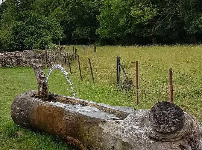 La Grange Aux Oiseaux Alloggio in famiglia