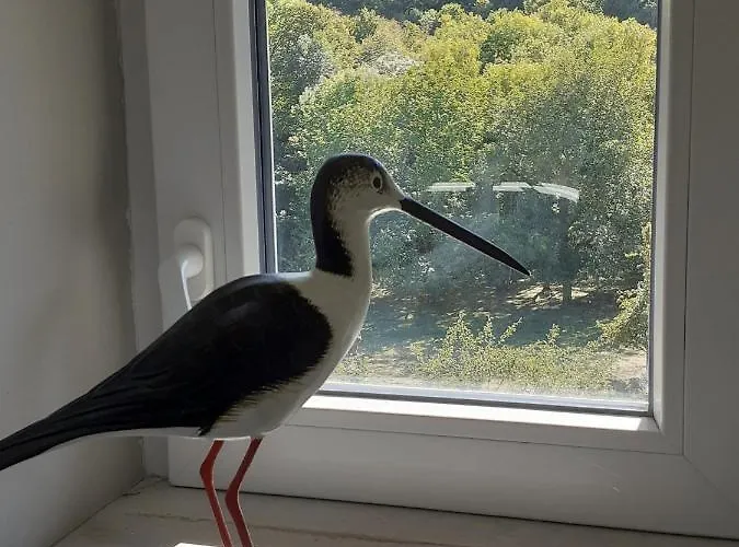 La Grange Aux Oiseaux *