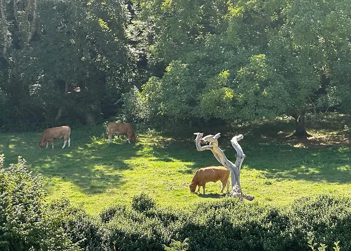 La Grange Aux Oiseaux Alloggio in famiglia *